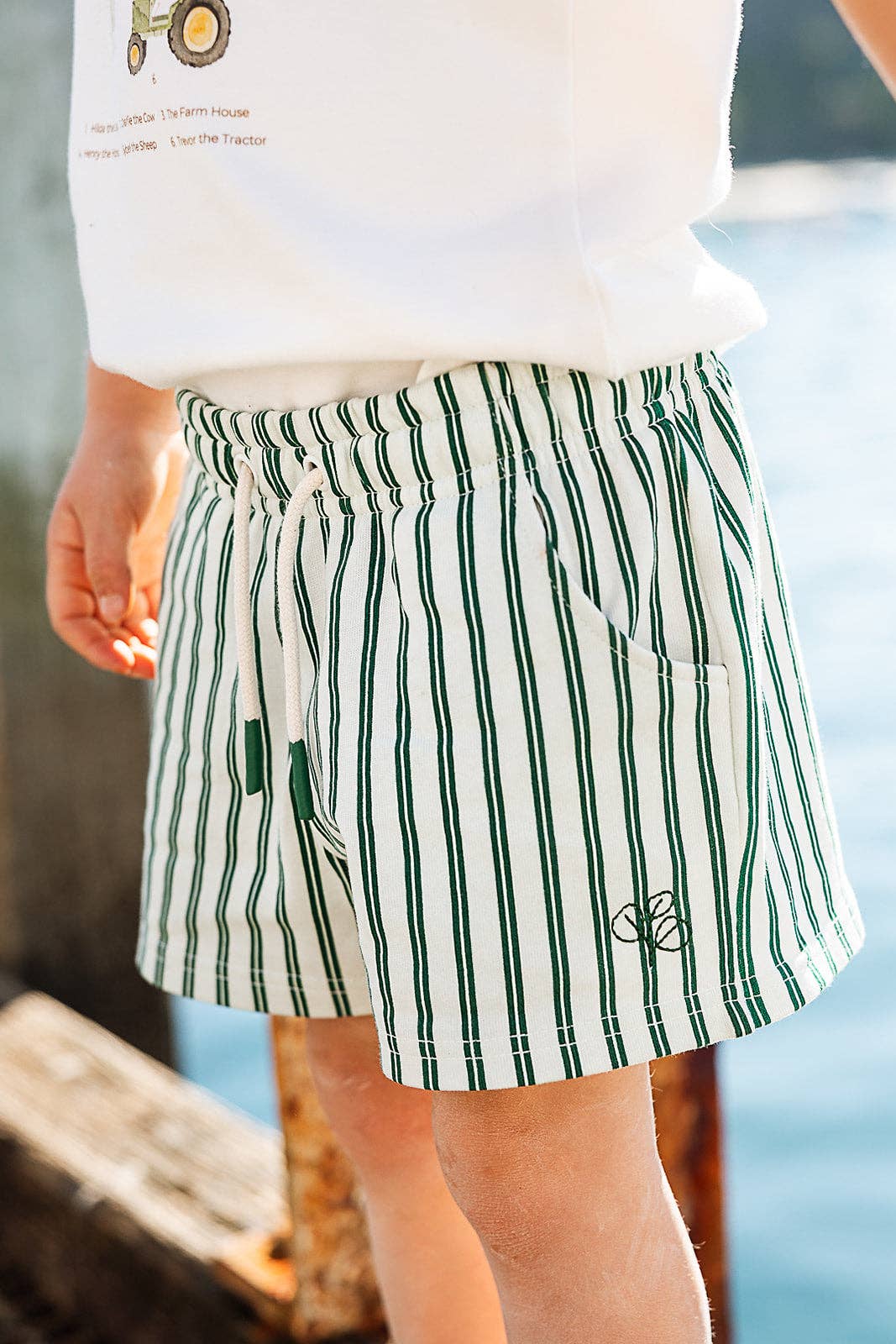 Artie Shorts Seaside Stripe