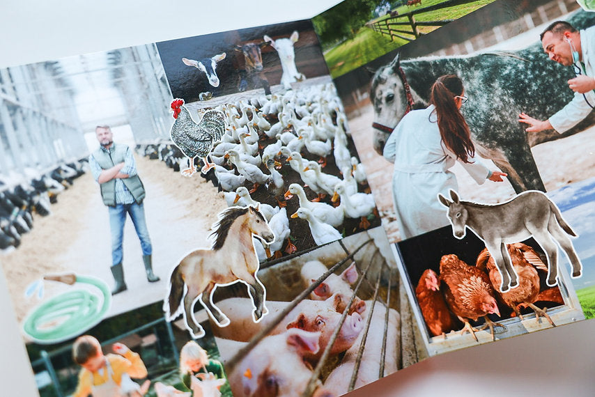 ON THE FARM - Scrapbook Board Book