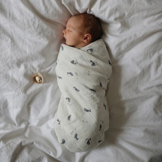 Swaddle - Whales